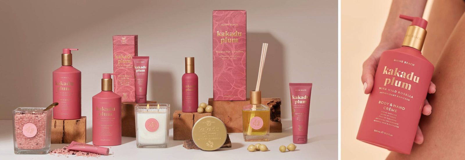 Maine Beach - Zjoosh