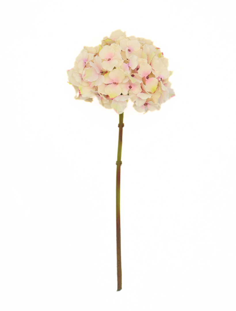 Hydrangea Stem 45cm Light Pink