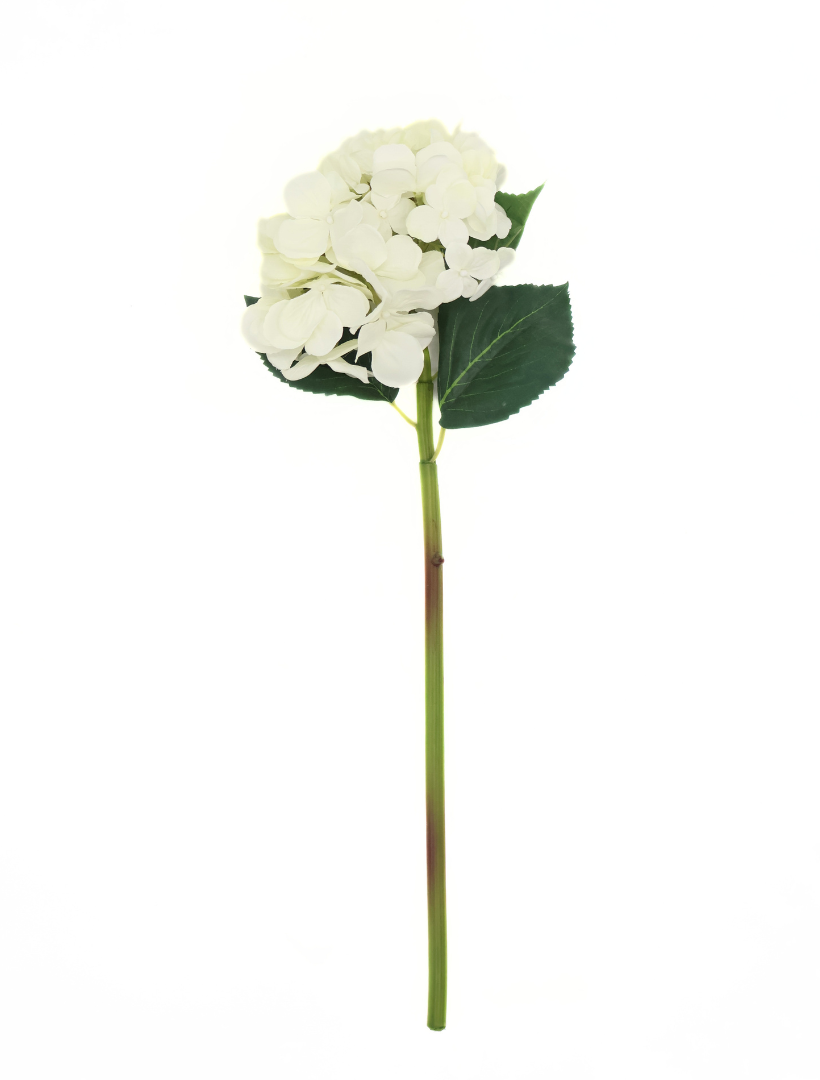 Hydrangea Stem 52cm White