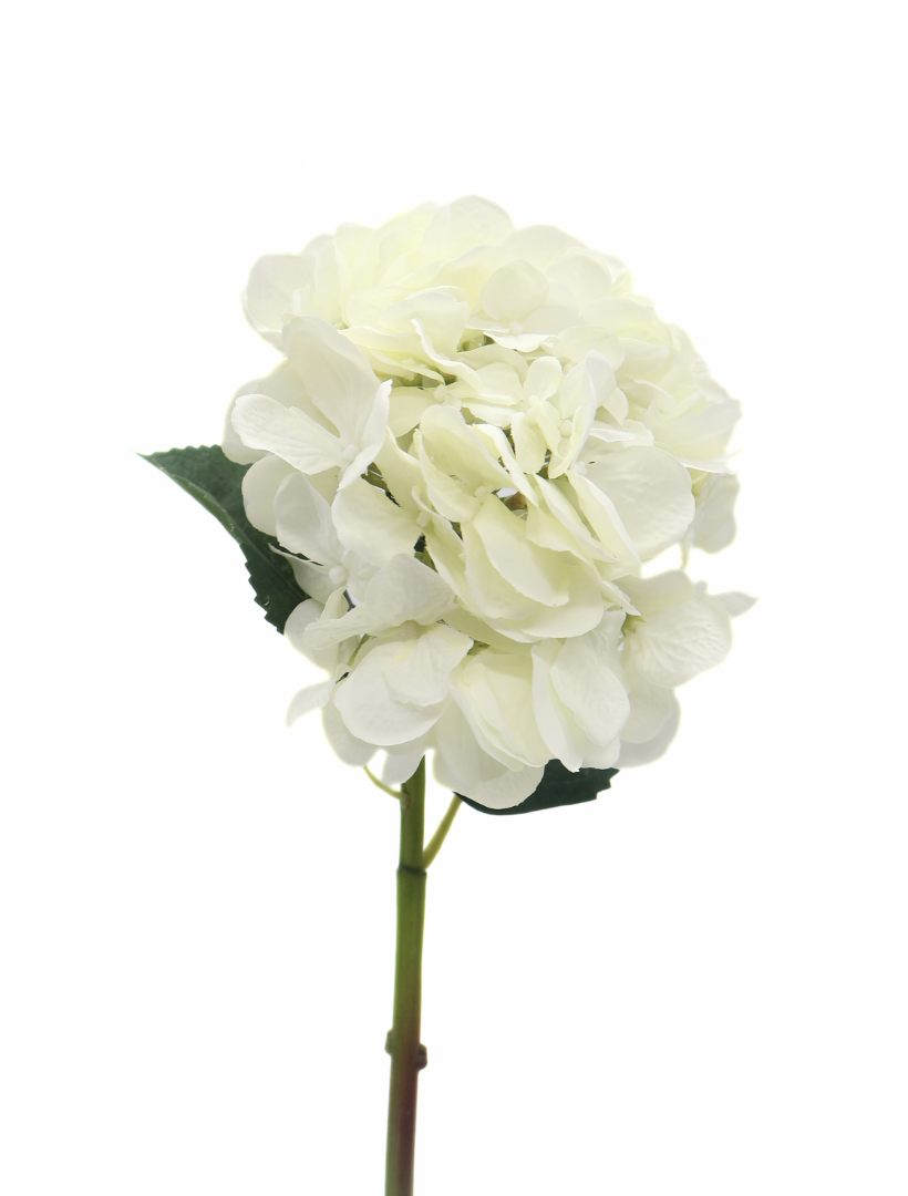 Hydrangea Stem 52cm White