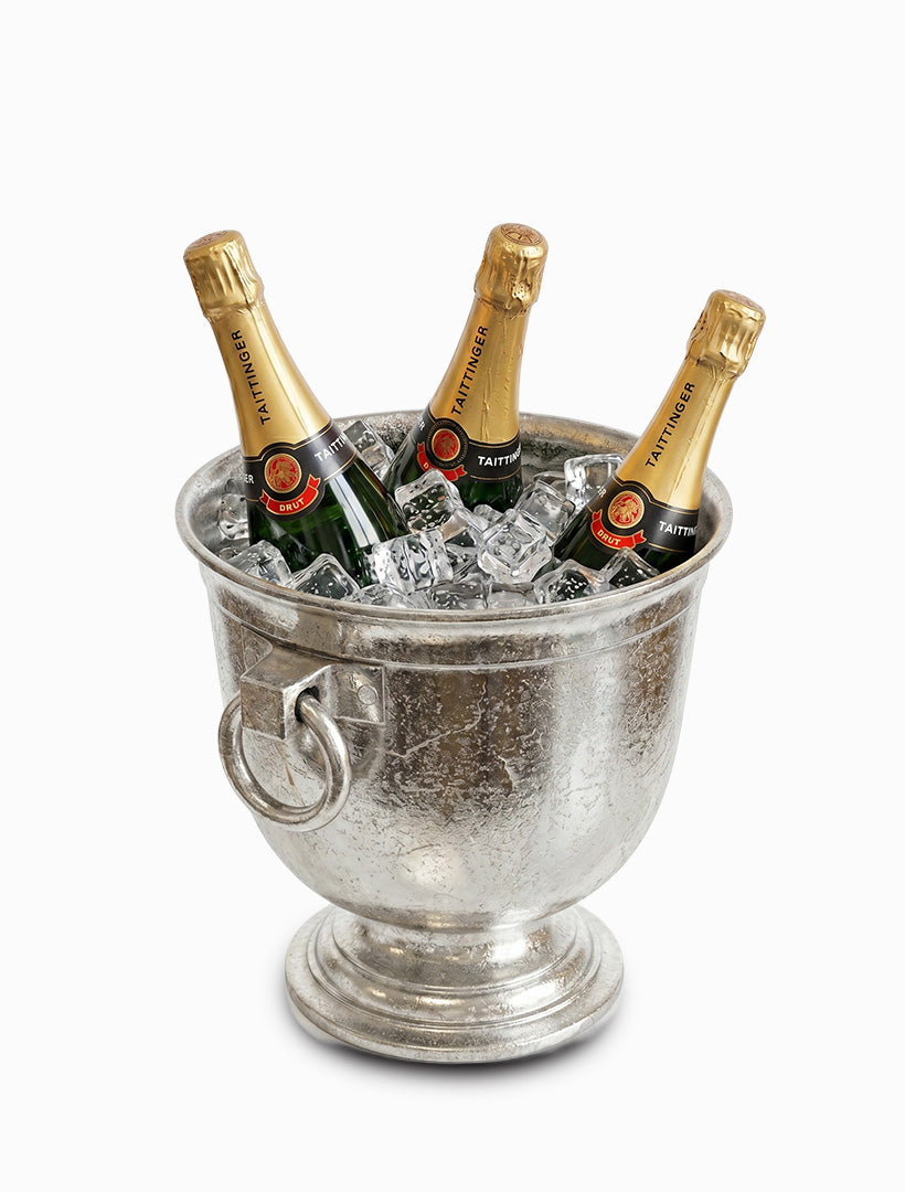 Ice Bucket With Ring Handles