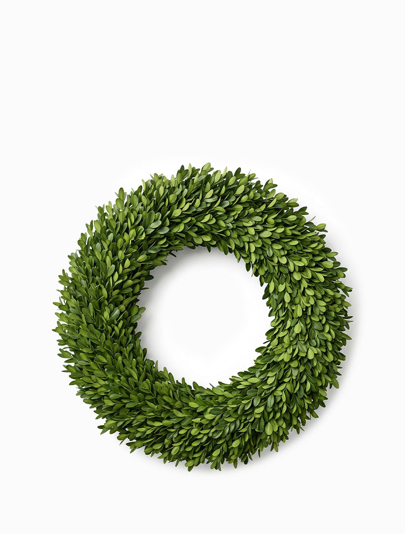 Boxwood Wreath 40cm