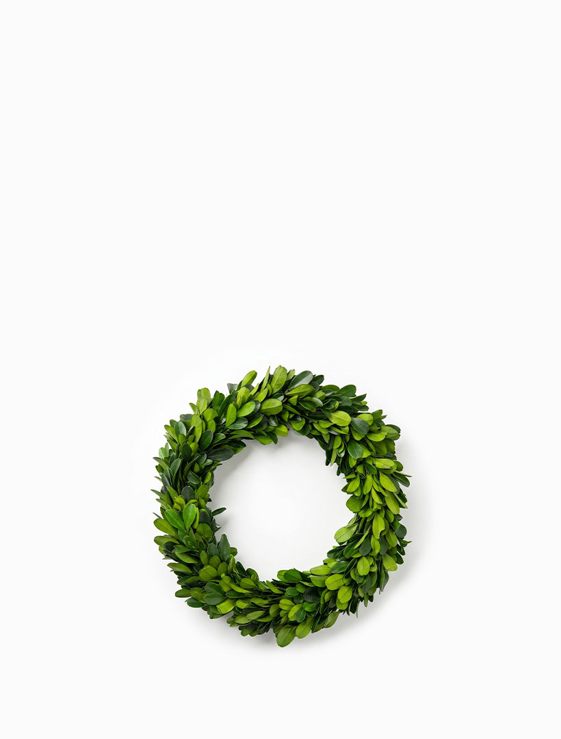 Boxwood Mini Wreath