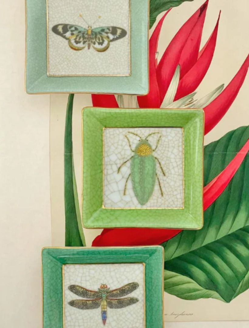 Exotico Wall Plate Buprestis