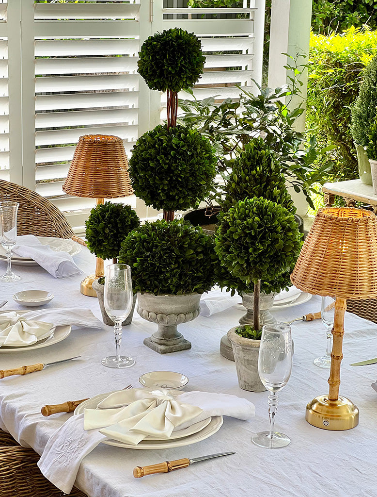 Boxwood Ball in Pot