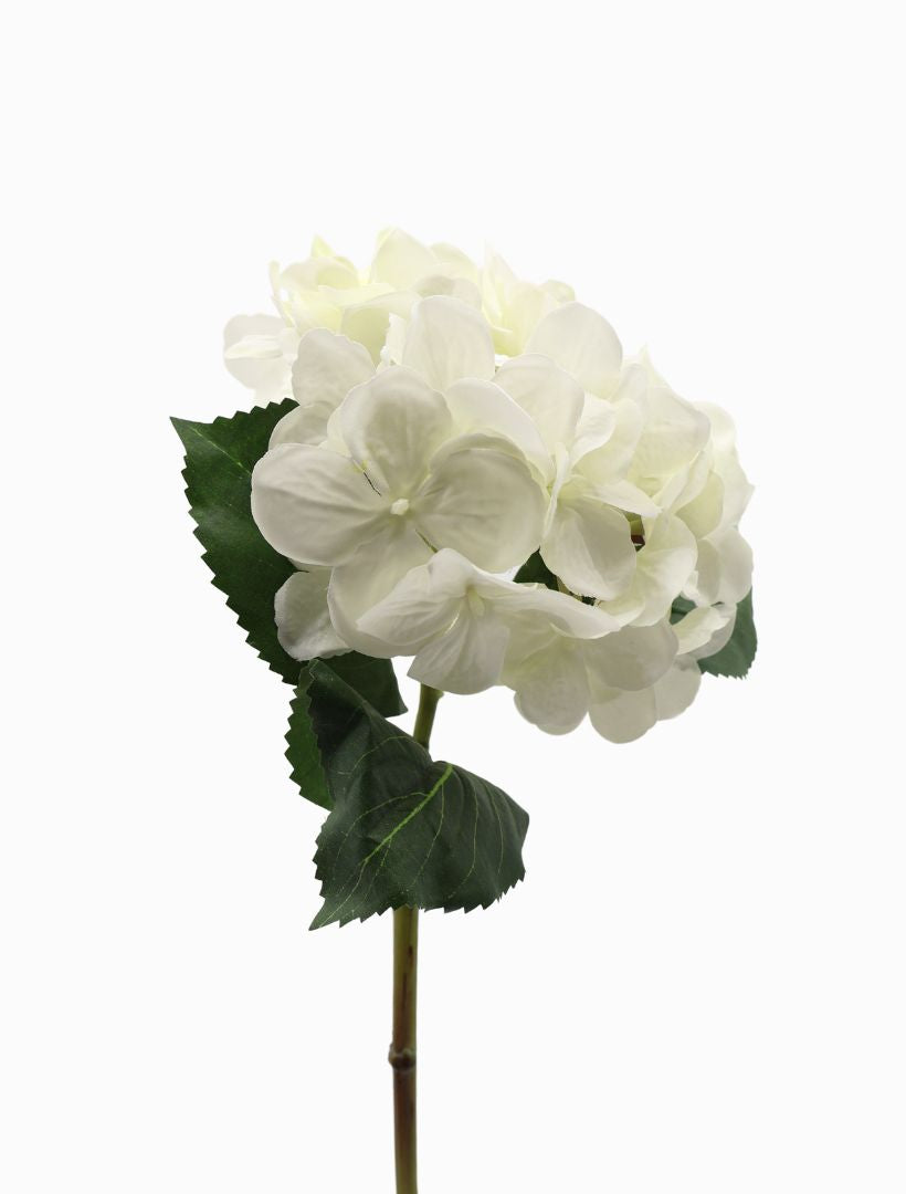 Side view - Hydrangea Stem 52cm White