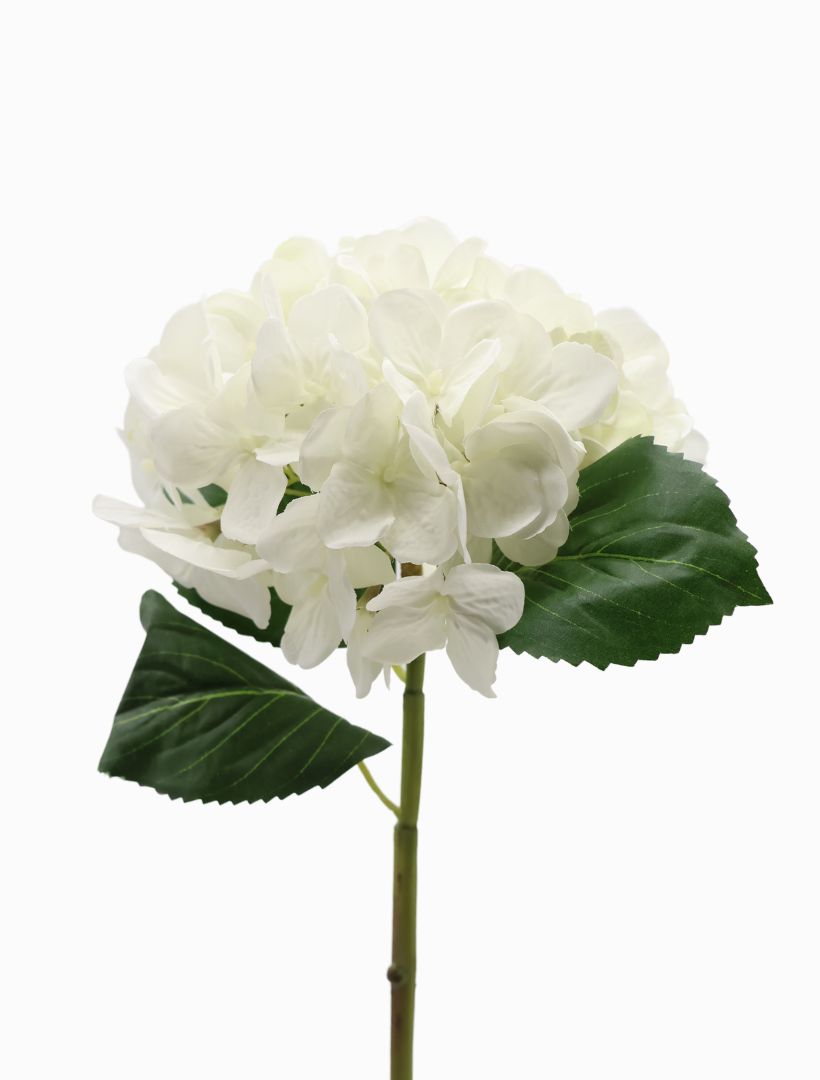 Detail - Hydrangea Stem 52cm White