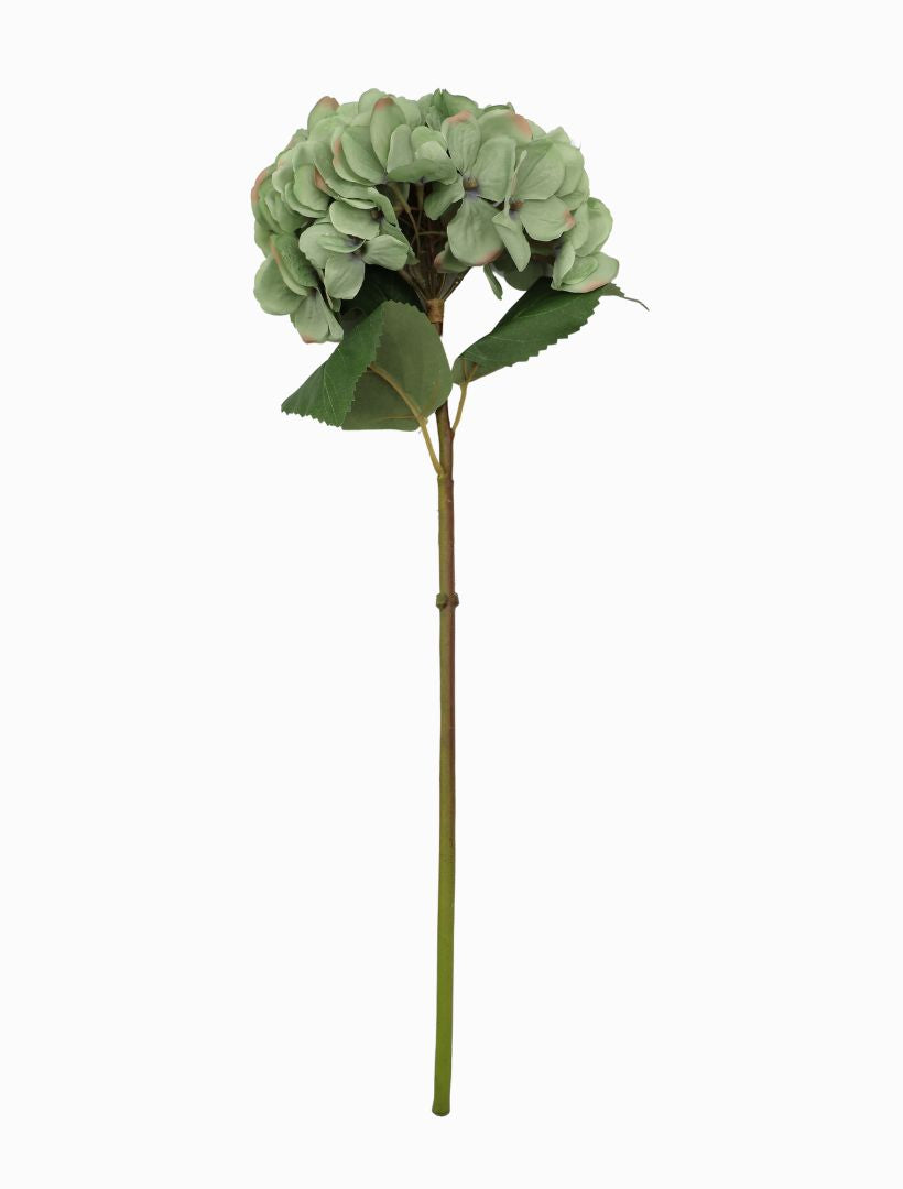 Hydrangea Stem 52cm Blue Green