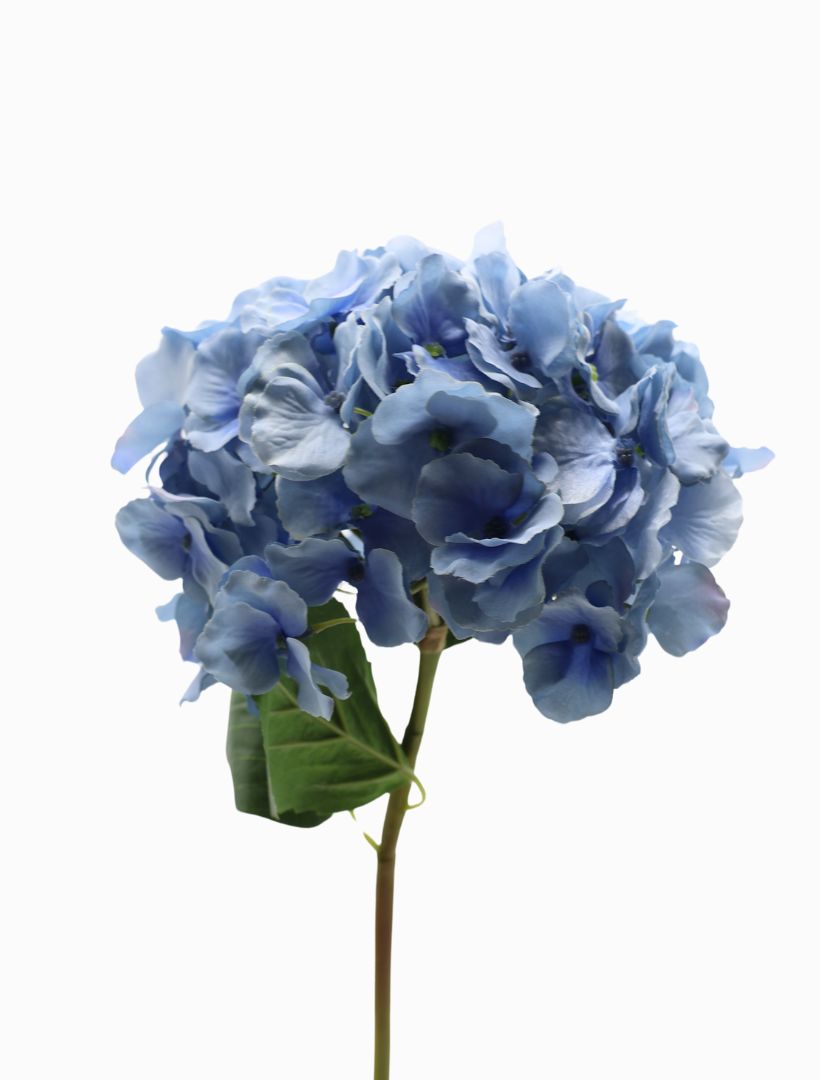 Hydrangea Stem 52cm Blue