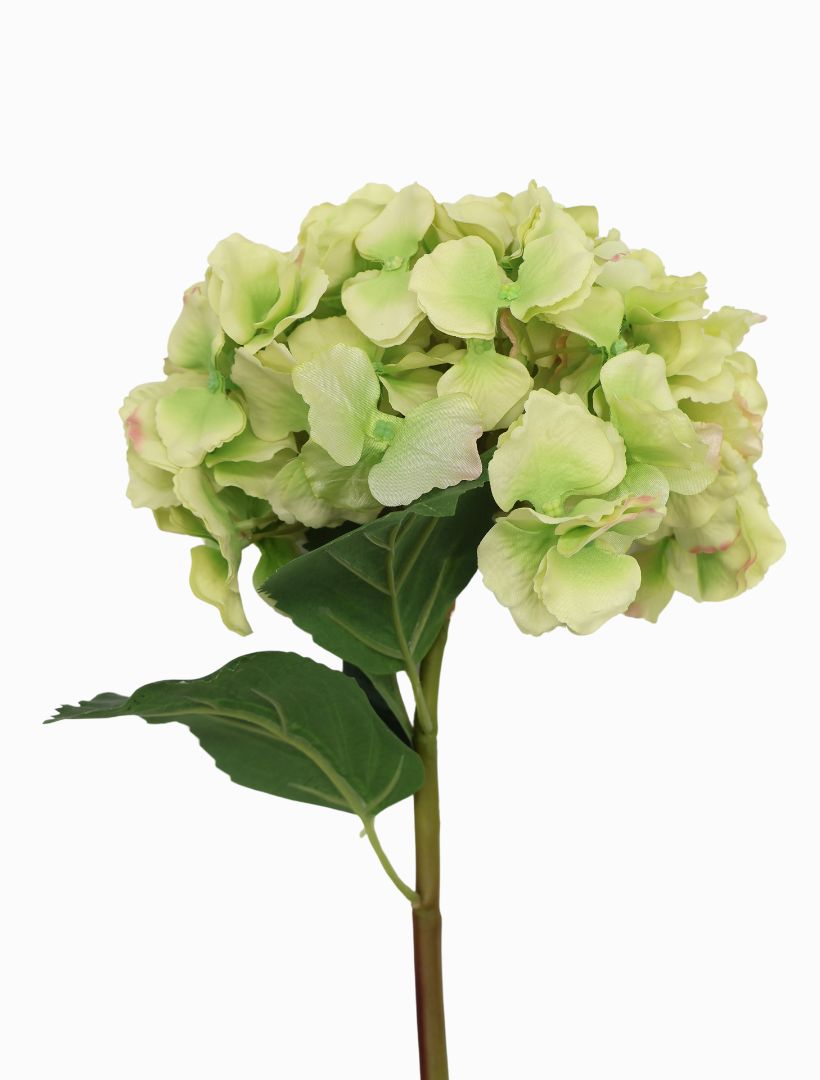 Detail - Hydrangea Stem 52cm Green