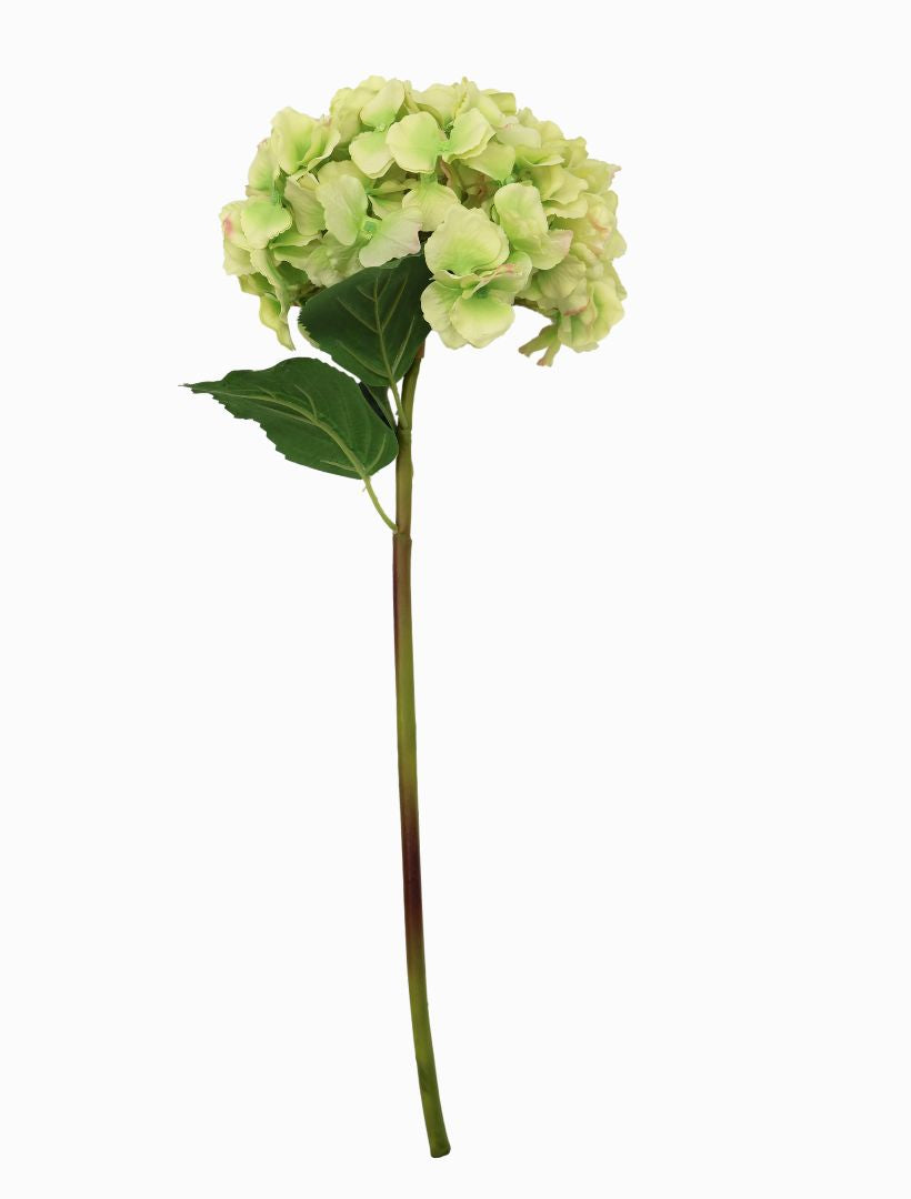 Hydrangea Stem 52cm Green