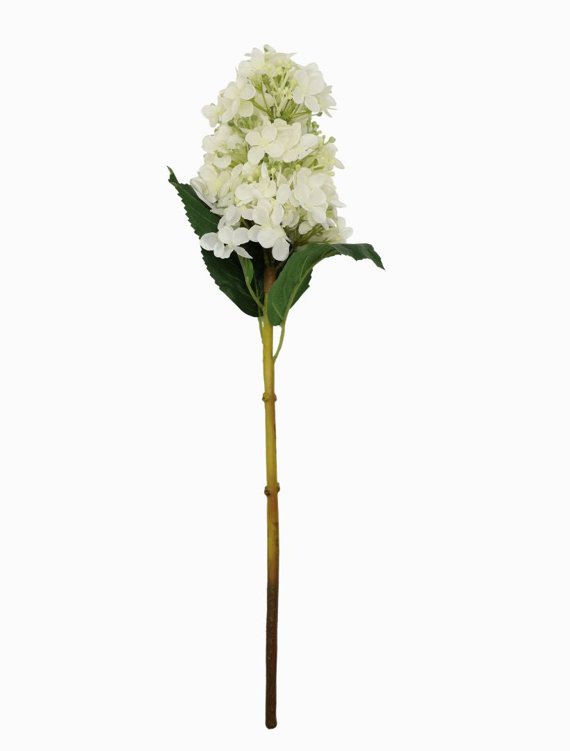 Hydrangea Cone 50cm Ivory