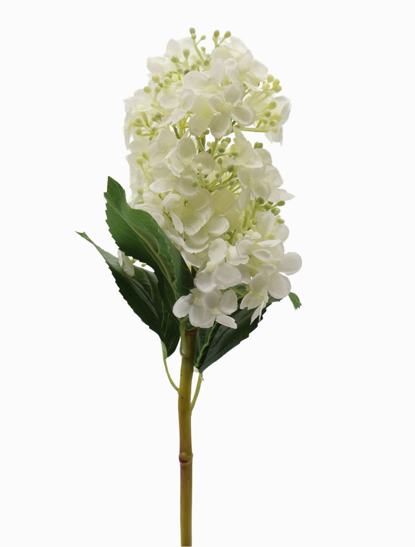 Detail - Hydrangea Cone 50cm Ivory