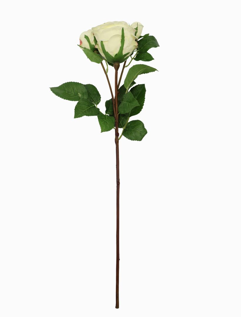 Front view - Rose stem ivory 58cm