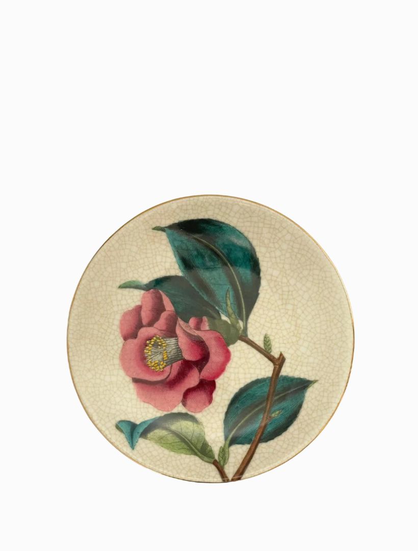 Paradiso Wall Plate Camellia Bone