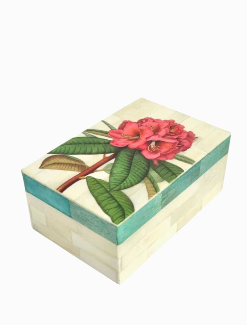 Paradiso Box Rhododendron Pink