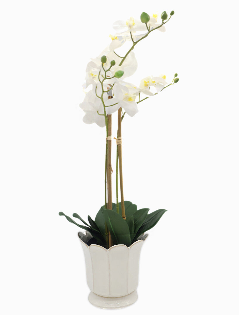 Front view - white scallop large vase