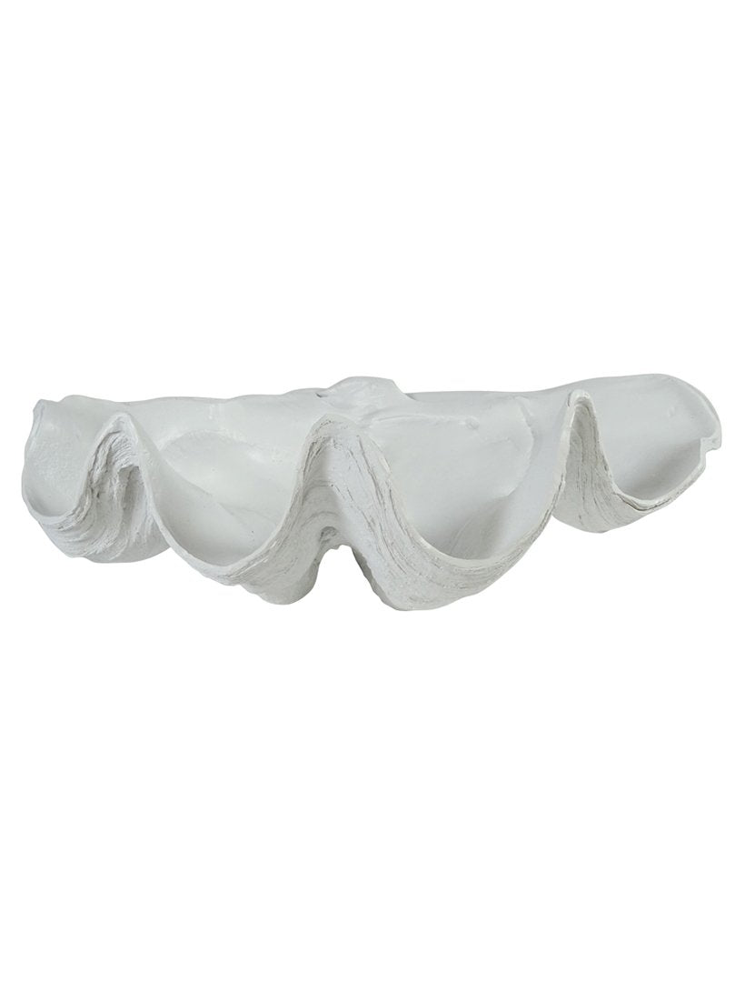 Clam Shell Decor 52cm White - Zjoosh