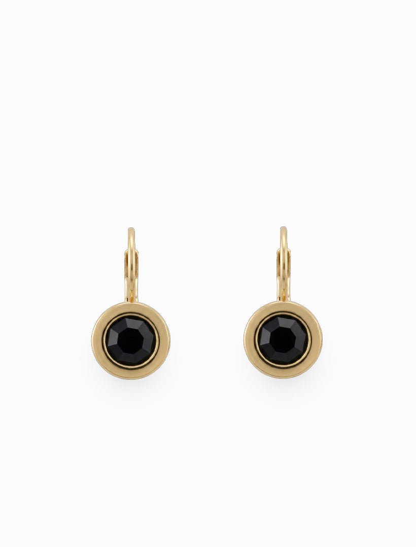 Crystal French Hooks Black - Zjoosh