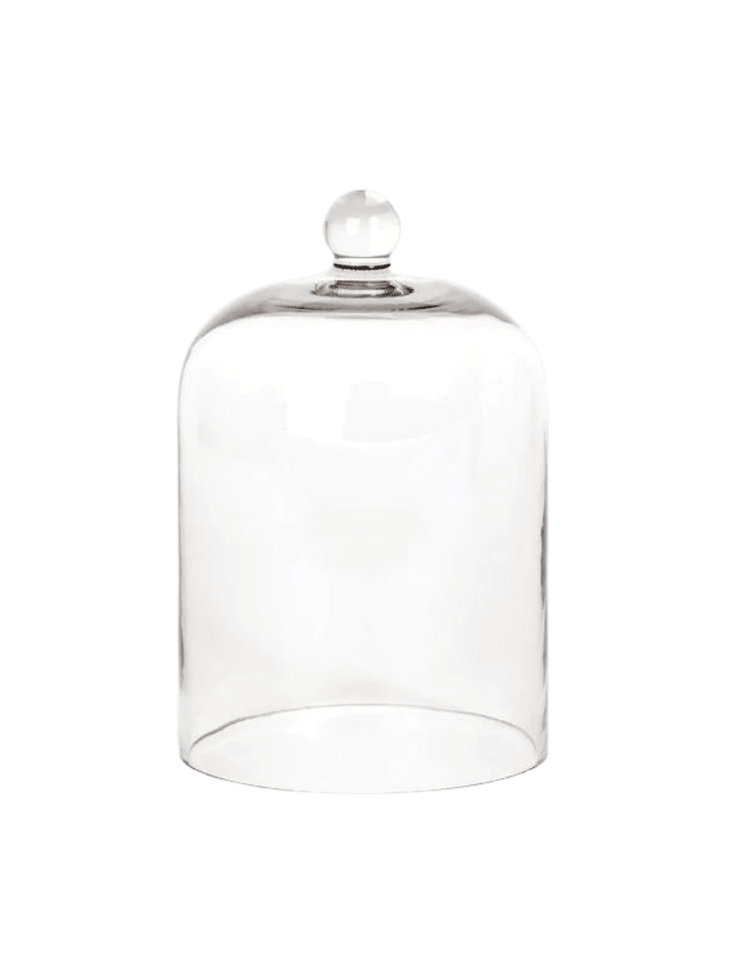 Glass Cloche - Zjoosh