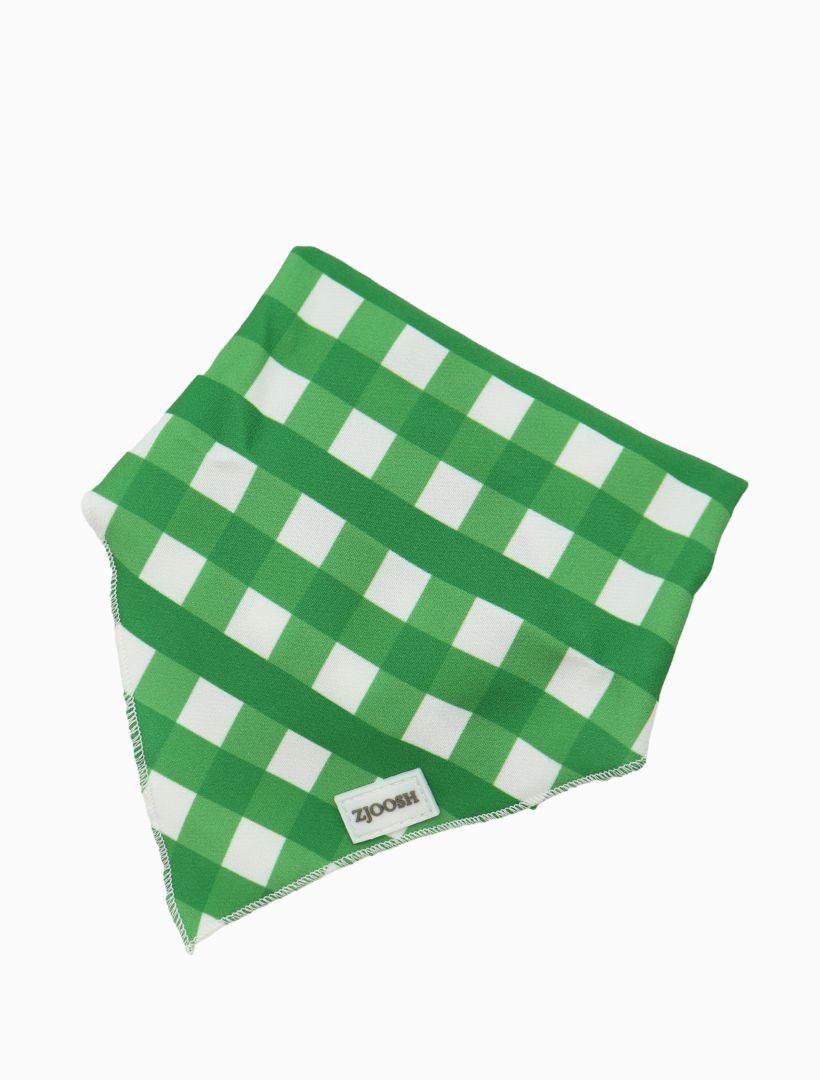 Harvey Gingham Bandana Green - FINAL SALE - Zjoosh