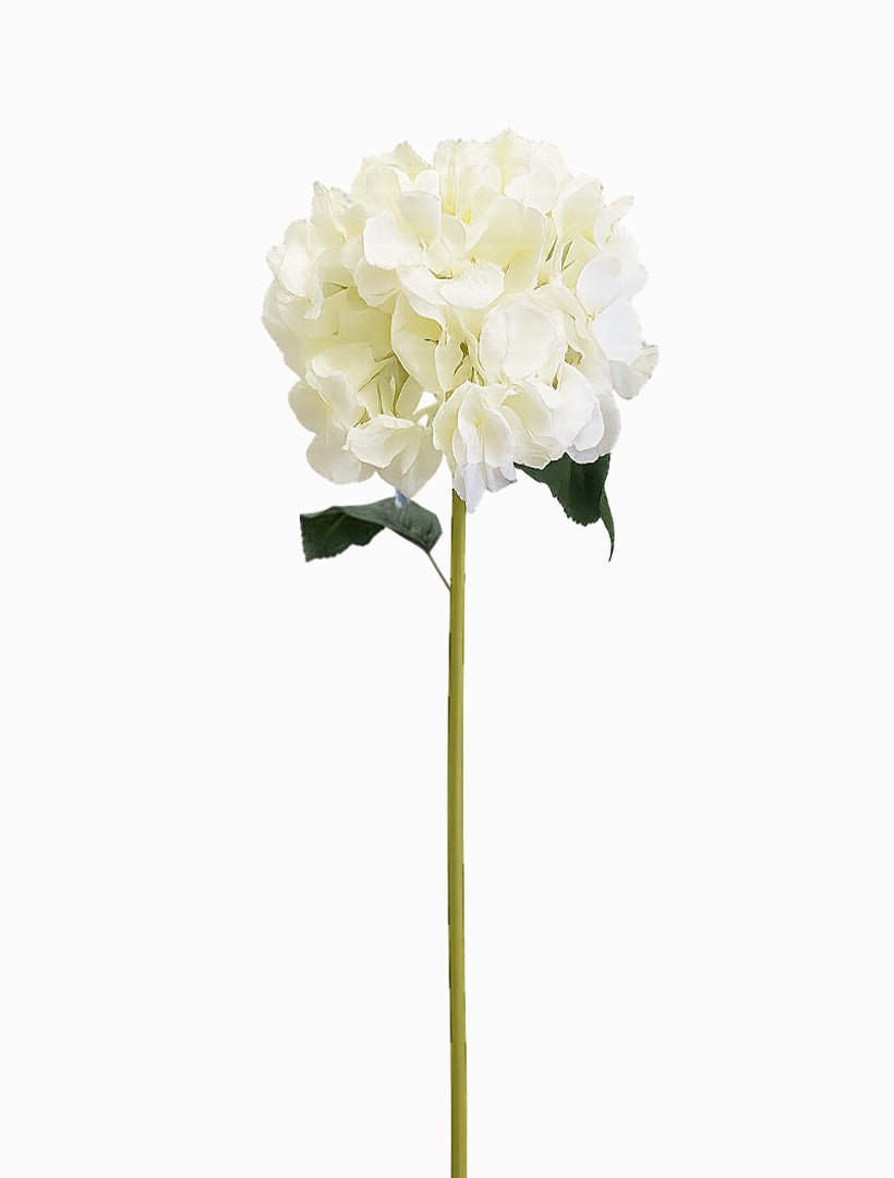 Hydrangea 52cm White - Zjoosh