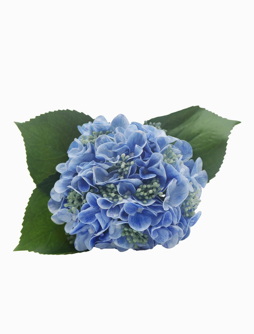 Hydrangea Bouquet Blue - Zjoosh