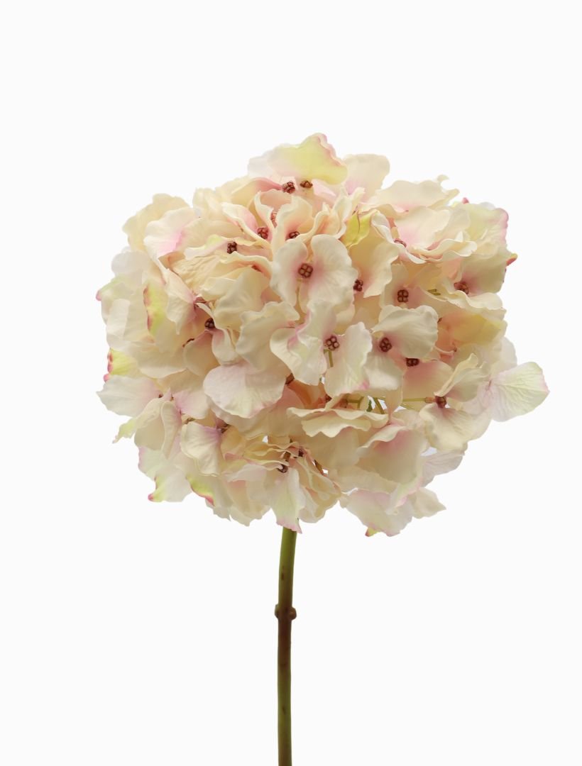 Hydrangea Stem 45cm Light Pink - Zjoosh