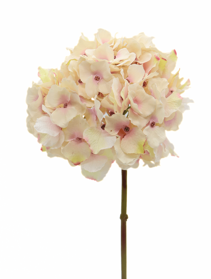 Hydrangea Stem 45cm Light Pink - Zjoosh