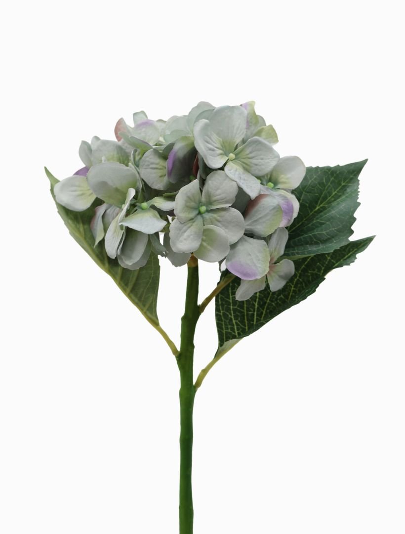 Hydrangea Stem 50cm Blue Green - Zjoosh