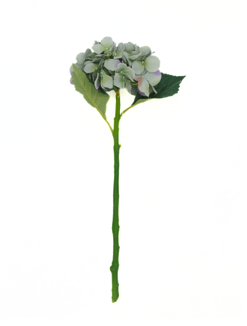 Hydrangea Stem 50cm Blue Green - Zjoosh