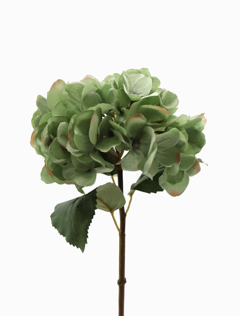 Hydrangea Stem 52cm Blue Green - Zjoosh