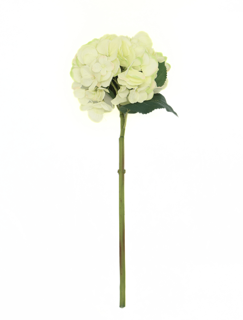 Hydrangea Stem 52cm Cream - Zjoosh