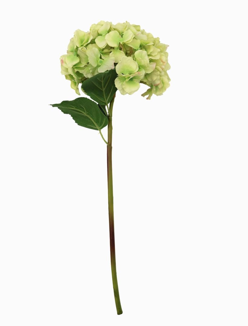 Hydrangea Stem 52cm Green - Zjoosh