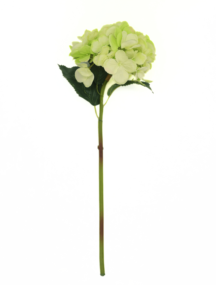 Hydrangea Stem 52cm Light Green - Zjoosh