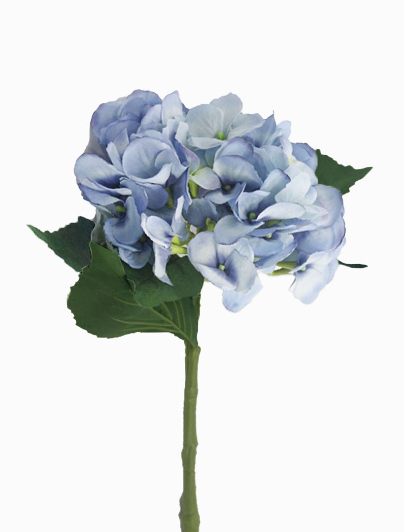 Hydrangea Water Stem 50cm Blue - Zjoosh