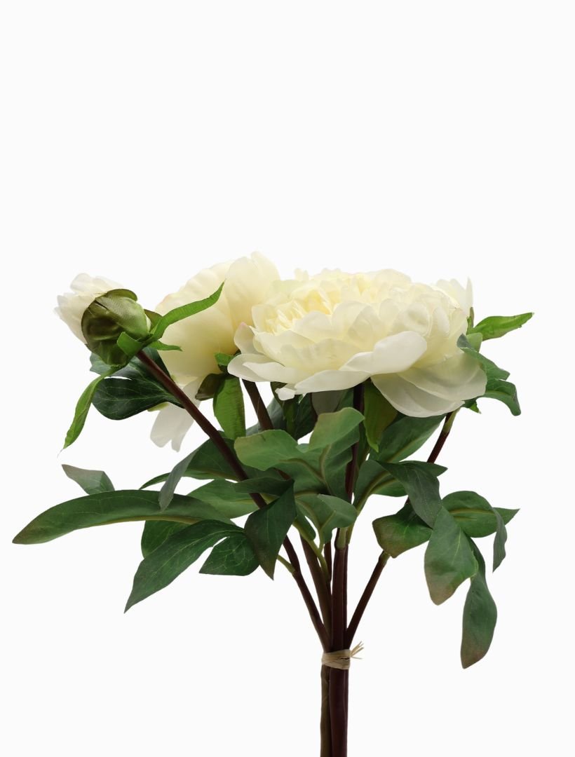 Peony Bouquet 32cm Ivory - Zjoosh