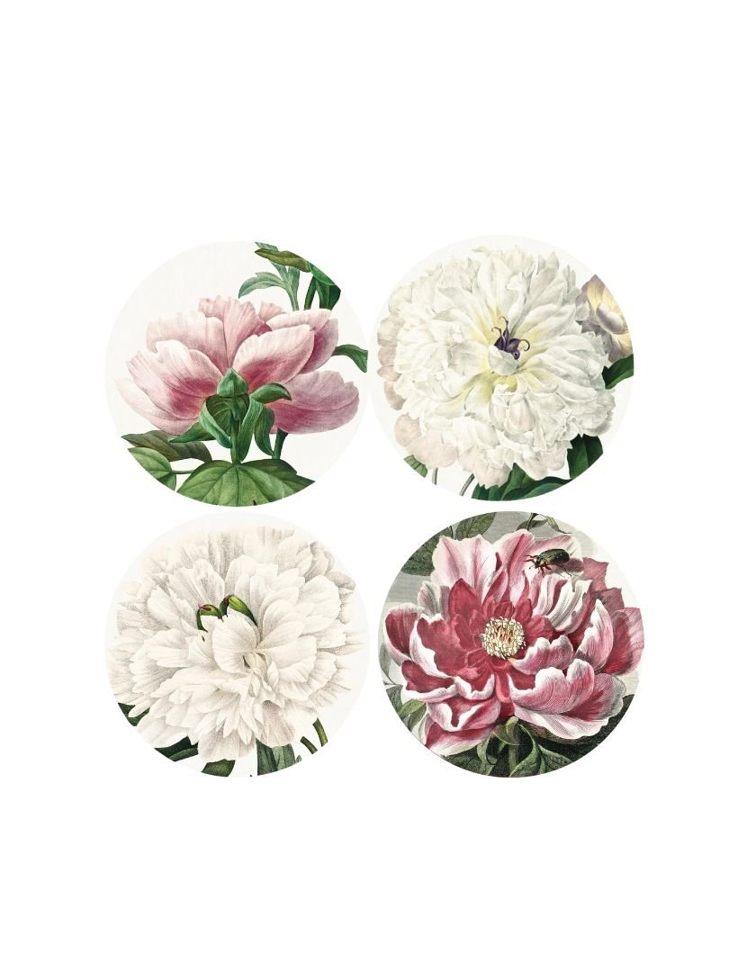 Peony Coasters (Set of 4) - Zjoosh