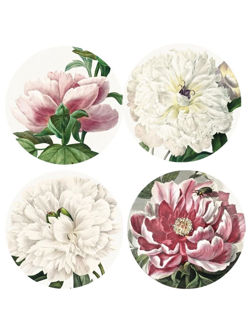 Peony Placemats (Set of 4) - Zjoosh