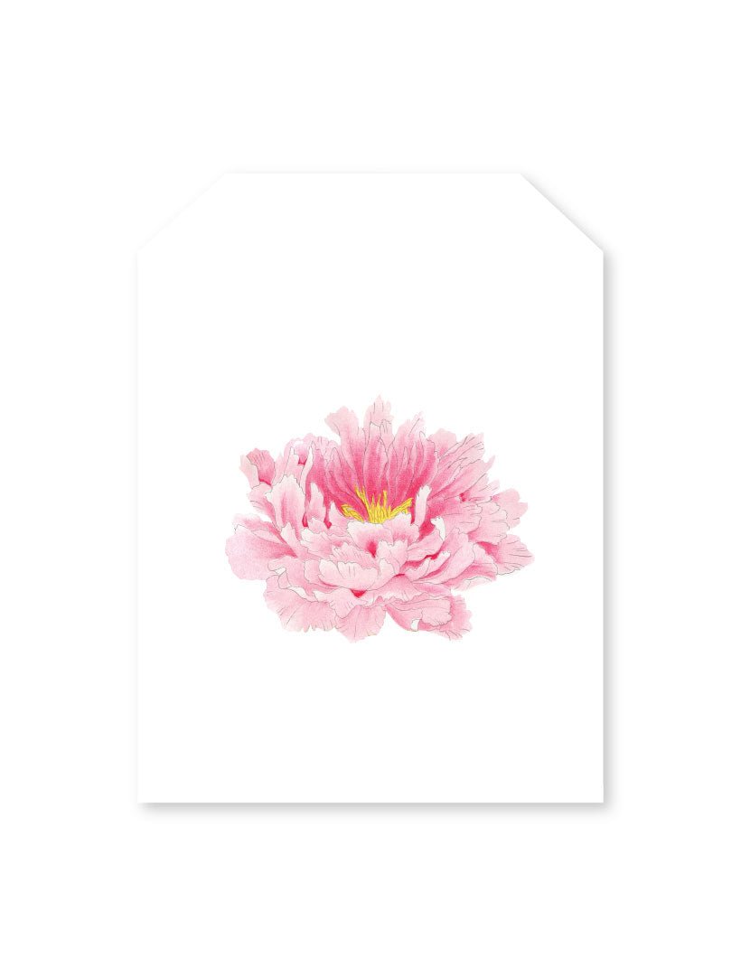 Pink Peony Tag - Zjoosh