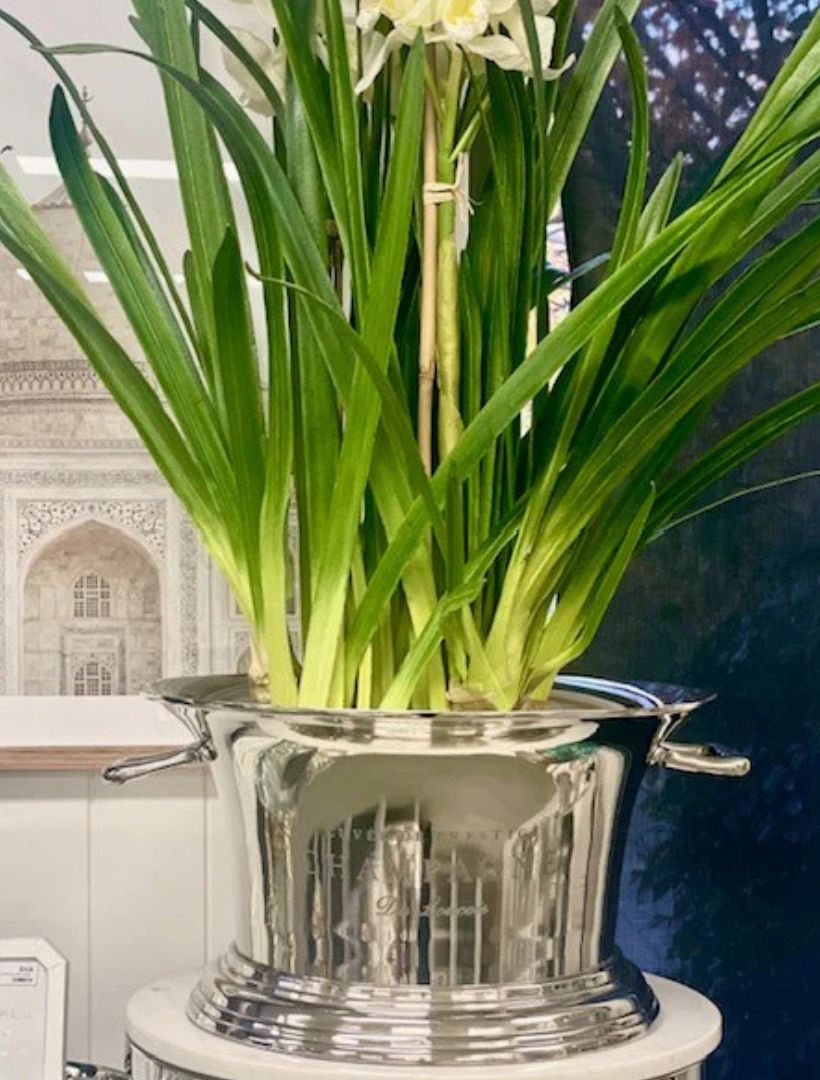 Prestige Mega Bucket Cuvee Silver - Zjoosh