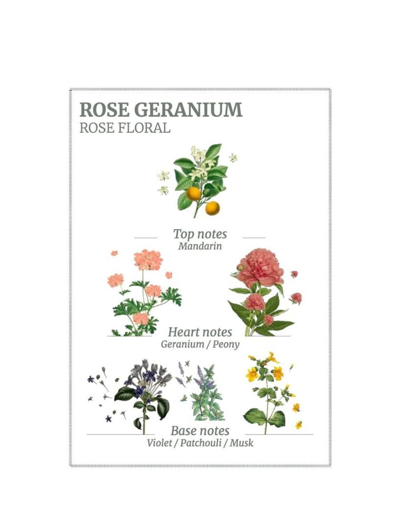 Rose Geranium Hand &amp; Body Wash 500ml - Zjoosh