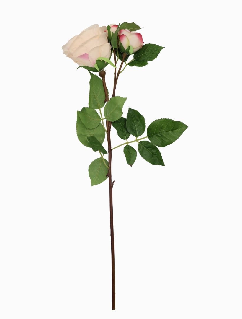 Rose Stem 58cm Pink - Zjoosh