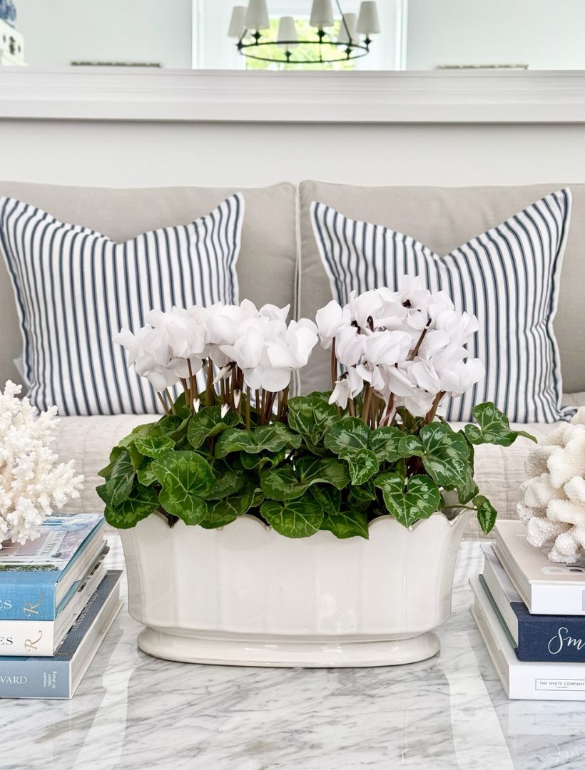 Scallop Planter White - Zjoosh
