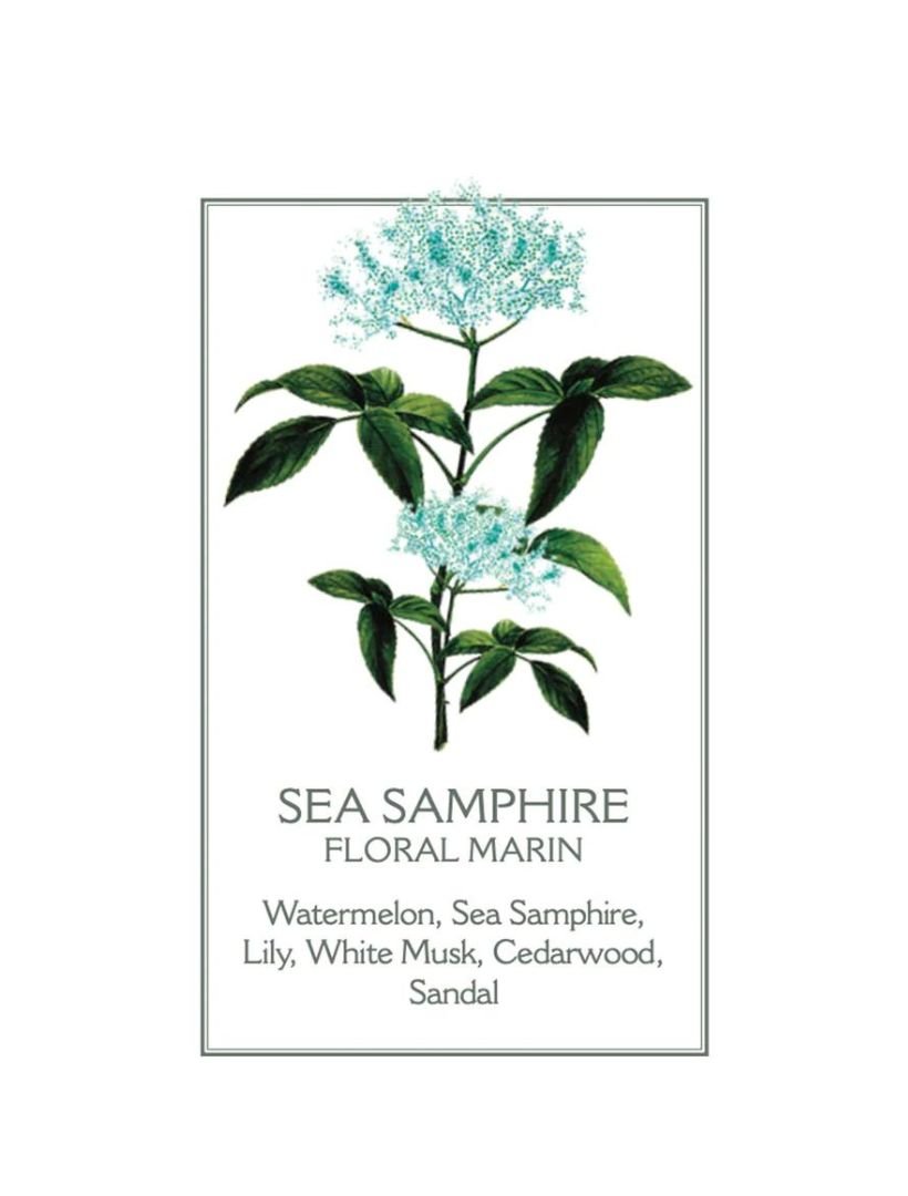 Sea Samphire Body Lotion 250ml - Zjoosh