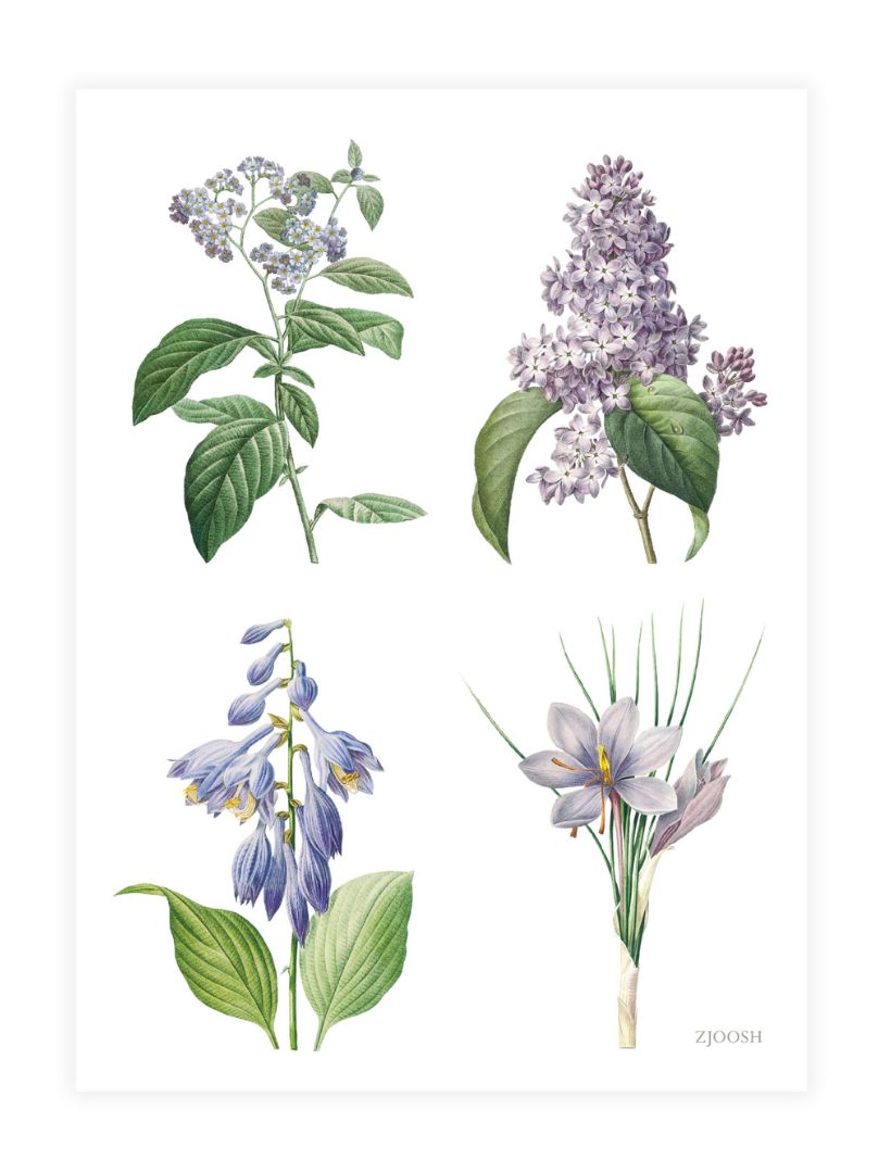 Vintage Botanical Tea Towel Lilac
