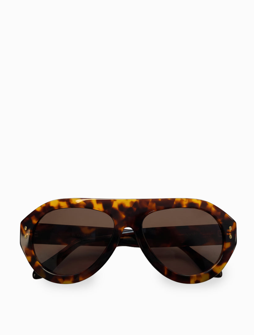 Tortoise Aviator
