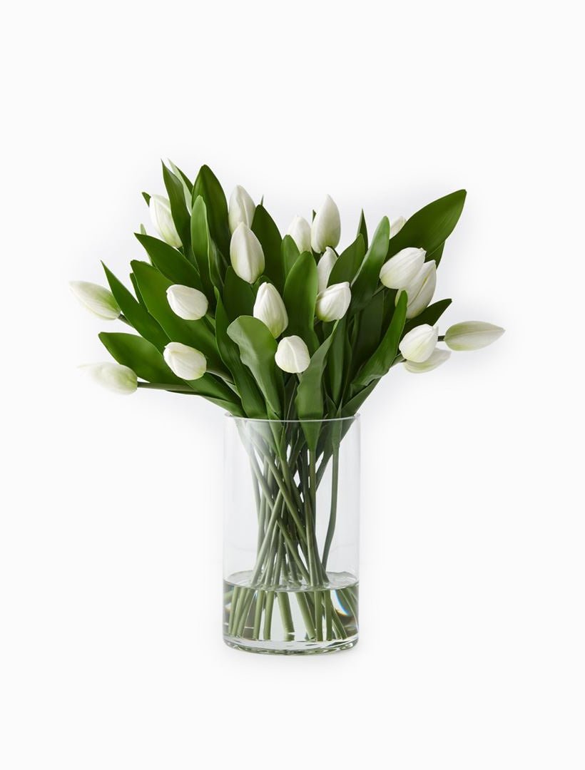 Tulip Mix in Vase White - Zjoosh