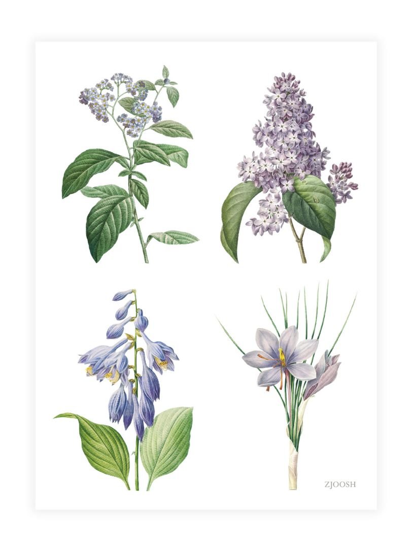 Vintage Botanical Tea Towel Lilac - Zjoosh