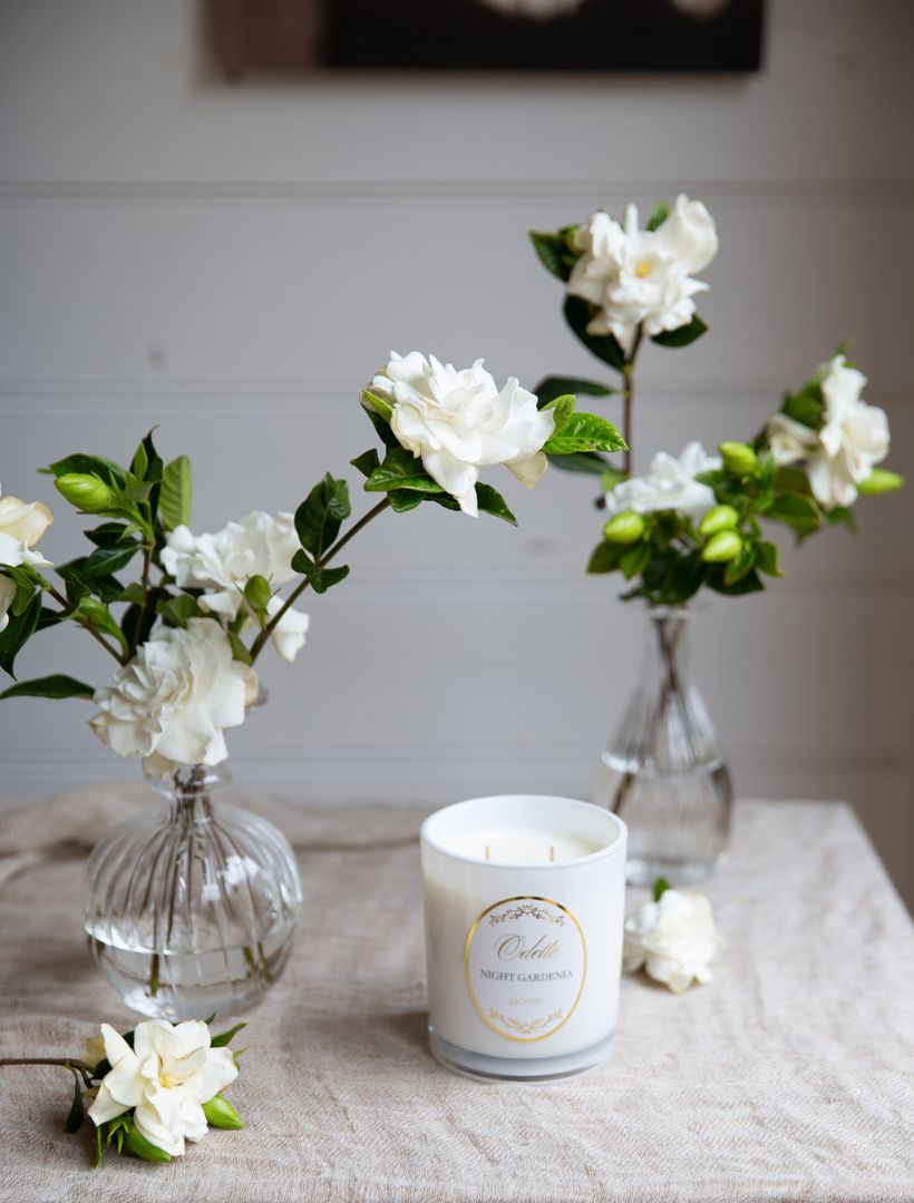 Zjoosh Candle Odette Night Gardenia - Zjoosh